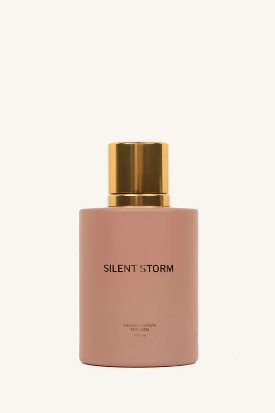 Erkek 100 ml Silent Storm Parfüm